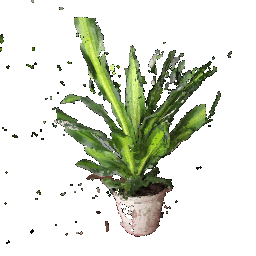 Question 5.1, plant union