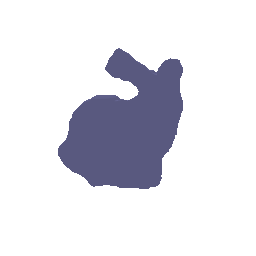 Bunny geometry