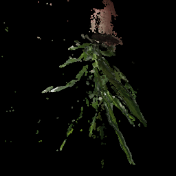SegmentLocal