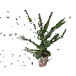 Plant 1