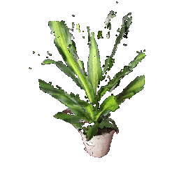 Plant 2