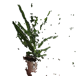 first image