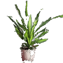 second image