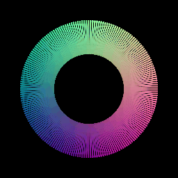 param torus