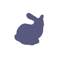 Bunny geometry