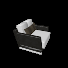 input image