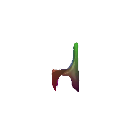Predicted Mesh
