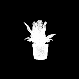 correct vase