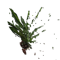 pc1