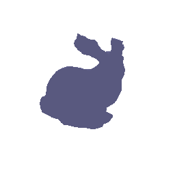 Bunny geometry