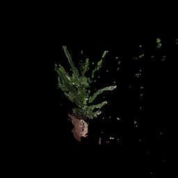 Plant1