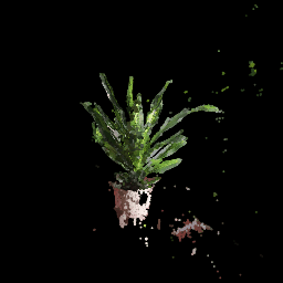 Plant_union