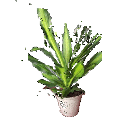 second image