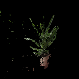 plant1
