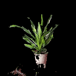 plant2