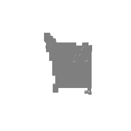 voxel_gt