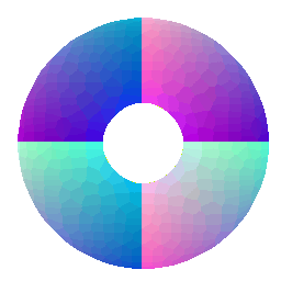 Torus Implicit