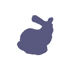 Bunny geometry