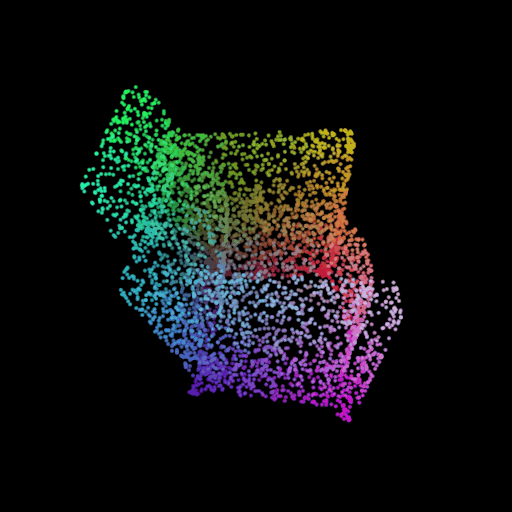SegmentLocal