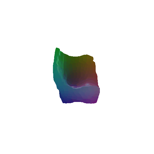 SegmentLocal
