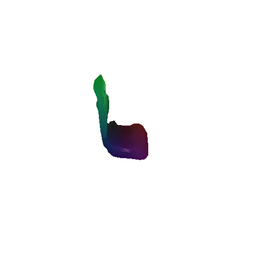 SegmentLocal