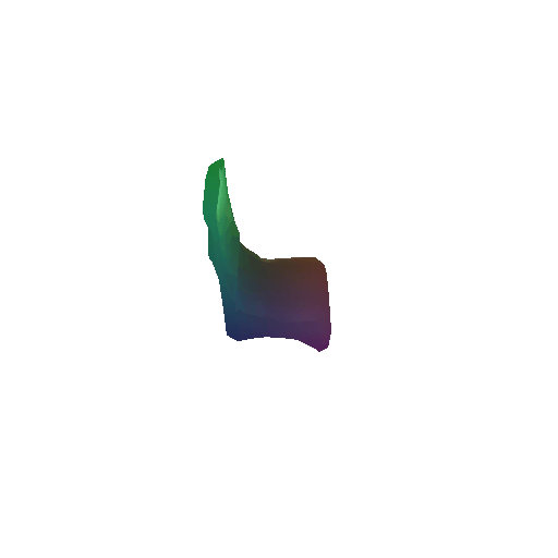 SegmentLocal