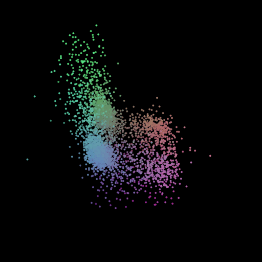 SegmentLocal