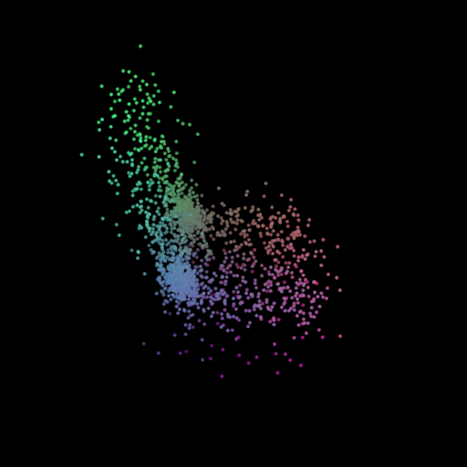 SegmentLocal