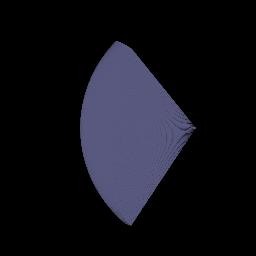 SegmentLocal