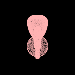 SegmentLocal