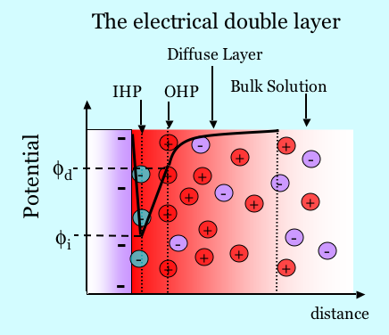 Schematic of the electric double layer, showing the accumulation of