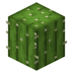 a cactus