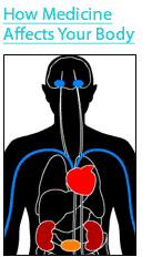 Diabetic Body