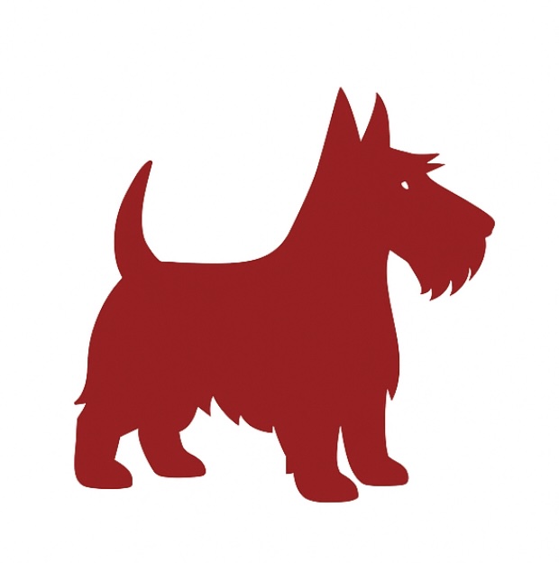 LENS Logo