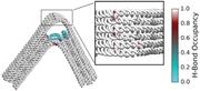 Figure h bond occupancy