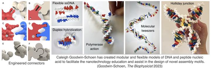 Tbp2023dna
