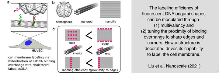 Yingnanoscale