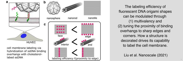 Yingnanoscale