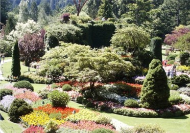 Sunken Gardens in Butchart Gardens