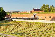 Half Day Terezin Tour Thumbnail