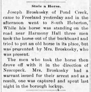 Horse theft near Harmony Hall, January 1894