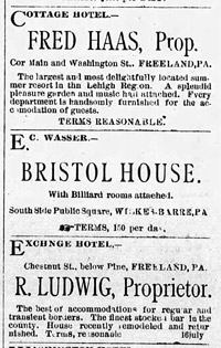 Cottage Hotel, 1883 ad