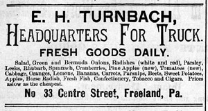 E. H. Turnbach green truck and groceries, 1888