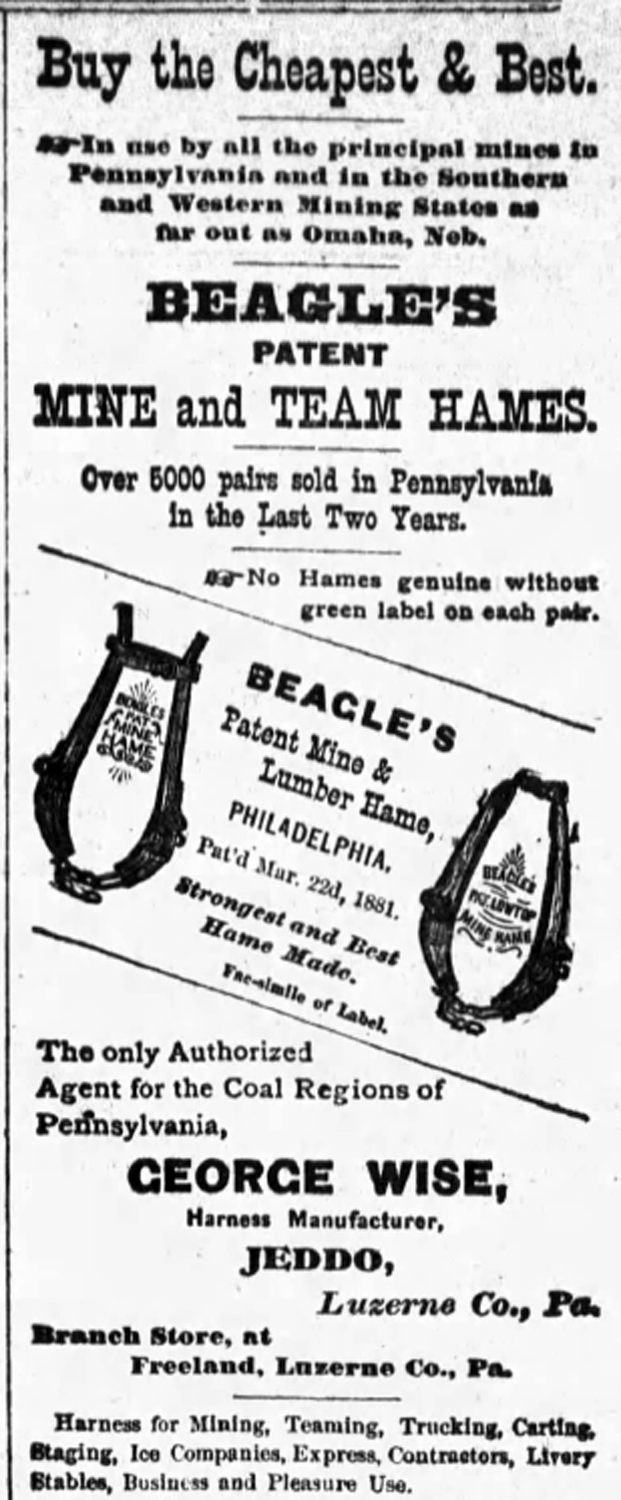 George Wise advertising Beagle hames, 1884