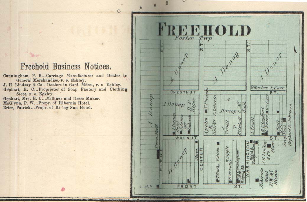 1873 Freehold map
