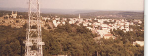 View from the
                firetower