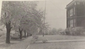 Memorial trees at FHS, mid-1950s