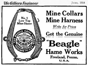 Beagle hame ad, 1914