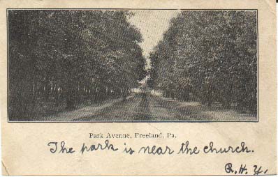 Avenue through the Public Park, looking east