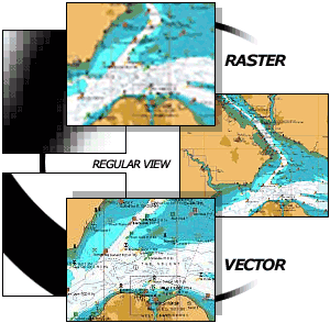 vector vs. bitmap